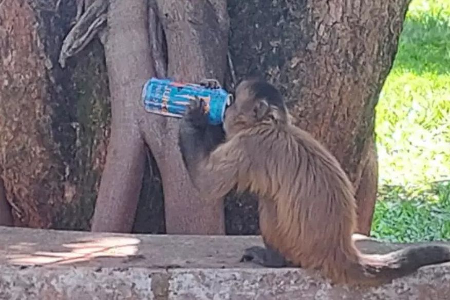 Mulher é esfaqueada pelo cunhado após negar se relacionar com ele